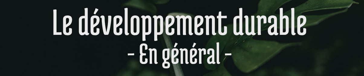 Le DD en général